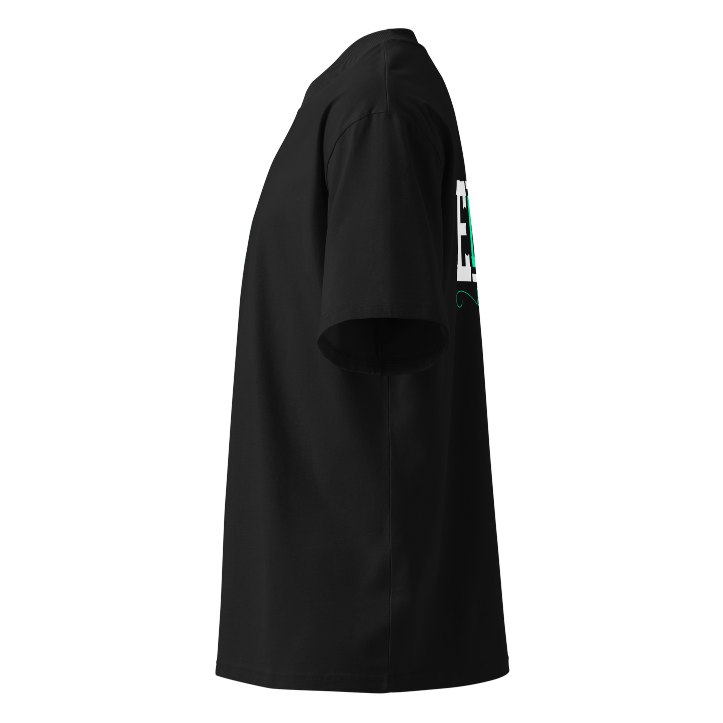 SignatureSet Blak-Mint Oversized T-shirt